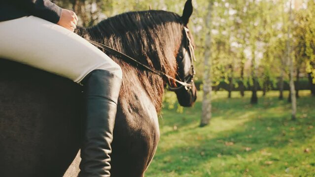 happy woman rides a horse back rear view, unrecognizable person enjoy walking nature sun light green grass park tree sunset. Fantasy Girl noble lady jockey sits horseback hand hold reins pet animal 4k
