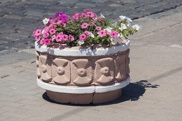 Concrete pot blooming petunias on pedestrian pavement paved with stone tiles. Purple and white petunia flowers in retro pot