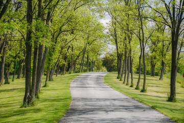 An array of trees, Daniel Boone Homestead, Birdsboro, Pennsylvania