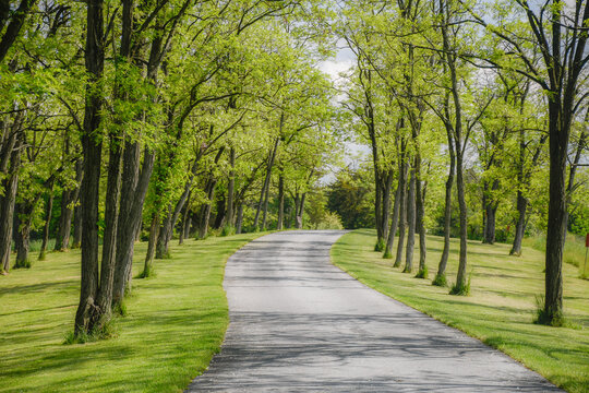 An array of trees, Daniel Boone Homestead, Birdsboro, Pennsylvania
