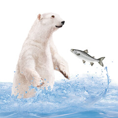 Fototapeta premium ours, blanc, animal, fourrure, nature, sauvage, faune, polaire, mammifère, alaska, saumon, chasser, capturer, eau, vague, 