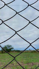 a chain link fence blocks the view of a spring green garden with grass and trees