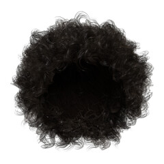 Curly Hair Wig isolated 3d rendered illustration