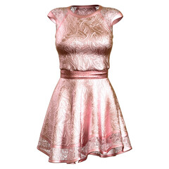 Female Dress Elegance Fashion Cloth isolated 3d rendered illustration