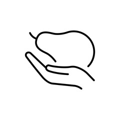 Avocado outline icons, minimalist vector illustration ,simple transparent graphic element .Isolated on white background