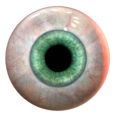 Eye Ball isolated 3d rendered illustration
