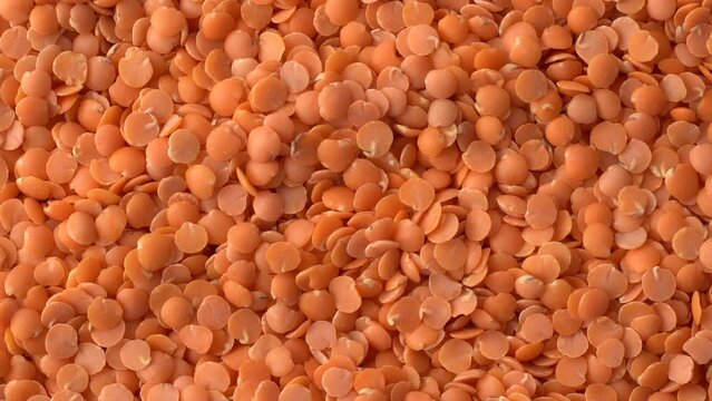 Macro video of red lentils. Bunch of masoor dal kept on rotating disk.