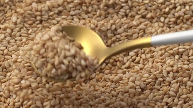Macro video of sesame seeds. Bunch of sesame seeds placed on rotating disk.