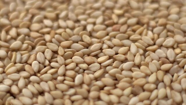 Macro video of sesame seeds. Bunch of sesame seeds placed on rotating disk.
