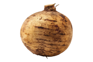 Rutabaga isolated on transparent background
