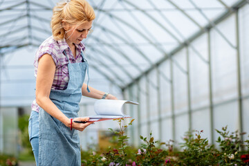 Women working in the flower greenhouse selecting roses for pollination to create a new variety.