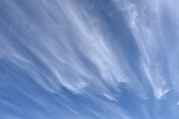 青空をバックに、流れてゆく筋状の雲