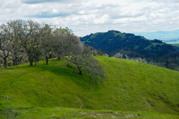 Fototapeta premium Grass Covered Ridge Lines and Hills