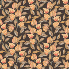 Watercolor physalis seamless pattern, watercolor illustration, background. handmade watercolor for wrapping paper, wallpaper, fabric, scrapbooking, autumn decoration, orange, green, dried flowers