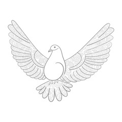 Zentangle stylized floral Pigeon for Peace Day on white background