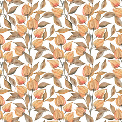 Watercolor physalis seamless pattern, watercolor illustration, background. handmade watercolor for wrapping paper, wallpaper, fabric, scrapbooking, autumn decoration, orange, green, dried flowers