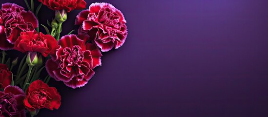 A floral pattern featuring red carnations on a purple background with a copy space image