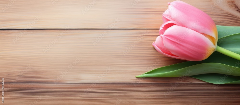 Poster a pink tulip flower on a wooden background with plenty of space for adding text or images. copyspace