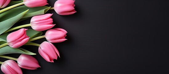 A copy space image of pink tulips against a black backdrop creating a perfect holiday card with room for personalized messages © StockKing