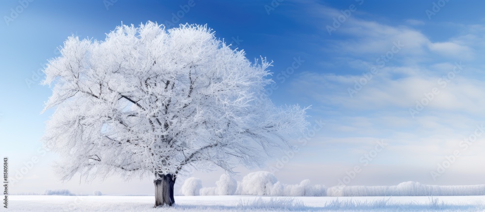 Poster a serene winter scenery featuring trees covered in frost providing ample copy space for a captivatin