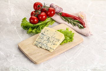 Gourmet blue cheese with mold