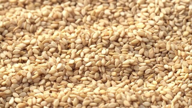 Macro video of sesame seeds. Bunch of sesame seeds placed on rotating disk.