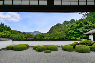 春の京都市北区正伝寺 獅子の児渡しの庭