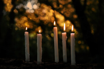 magic candles in Night forest, dark natural background. fabulous, mysterious scene. witchcraft...