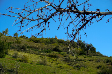 Fototapeta premium Grass Covered Ridge Lines and Hills