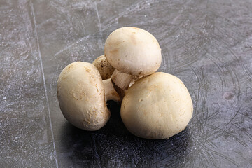 Fototapeta premium Natural organic ripe champignon mushrooms