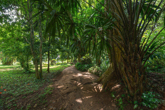 Kandy Climate