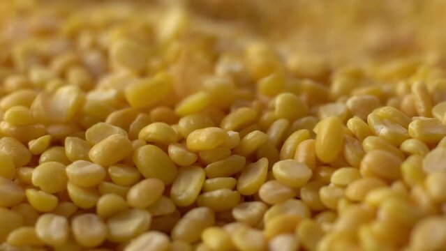 Macro video of moong dal. Close up of yellow lentis kept on rotating disk. 360 degree rotation of moong dals.
