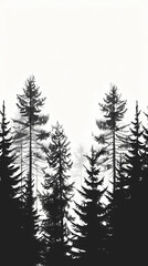 Obraz premium Winter forest fir trees spruce silhouette vector image,Pine forest silhouette wood tree background .