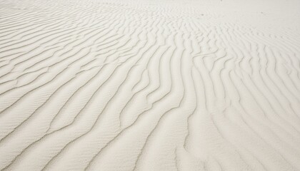 Fototapeta premium textura de areia fina