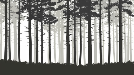 Winter forest fir trees spruce silhouette vector image,Pine forest silhouette wood tree background .
