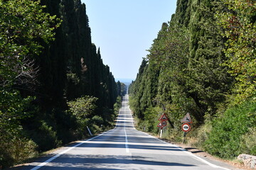 Il viale dei Cipressi che dall'Oratorio di San guido (sulla via Aurelia) conduce a Bolgheri  ombreggiato da entrami i lati  da una fila fittissima di cipressi 
