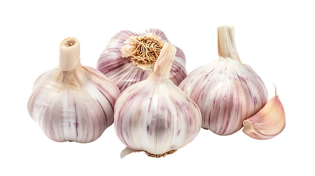 Raw garlic heads isolated on transparent background