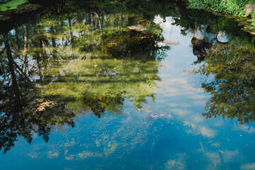 5月に見る美しい忍野八海