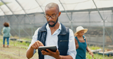 Research, tablet or black man in farm for agriculture or sustainability, production or website...