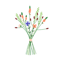 Flower bunch. Delicate floral bouquet. Field and meadow blossoms, herbs, fragile blooms, tiny stems tied with string. Summer wildflower mix. Flat vector illustration isolated on white background
