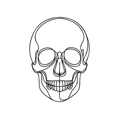 Human scull. One line continuous Halloween skull isolated on white background. Line art outline vector illustration.