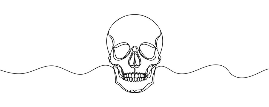 recommend clip art: Human scull. One line continuous Halloween skull isolated on white background. Line art outline vector illustration.