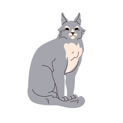 Lynx sitting. Wild cat, carnivorous feline. European forest predator. Carnivore beast, mammal. Woodland animal. Flat graphic vector illustration isolated on white background