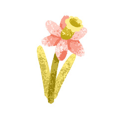 Spring flower. Gentle summer bloom, floral plant. Delicate blossom, tender petals, leaves. Wildflower with beautiful petals. Modern botanical flat vector illustration isolated on white background