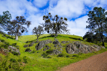 Grass Covered Ridge Lines and Hills