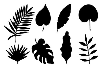Set of hand drawn tropical leaves. Black silhouette of exotic leaves on an isolated background. Vector.
