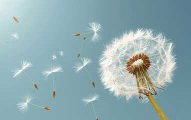 Dandelion seeds drifting in a clear blue sky.