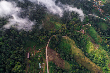 Aerial view green forest on mountin morning sun rise nature landscape background