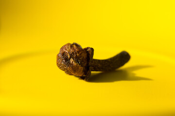 Macro photography of cloves. Concept of natural ingredients