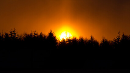 Sonnenuntergang hinter Baum-Silhouetten.